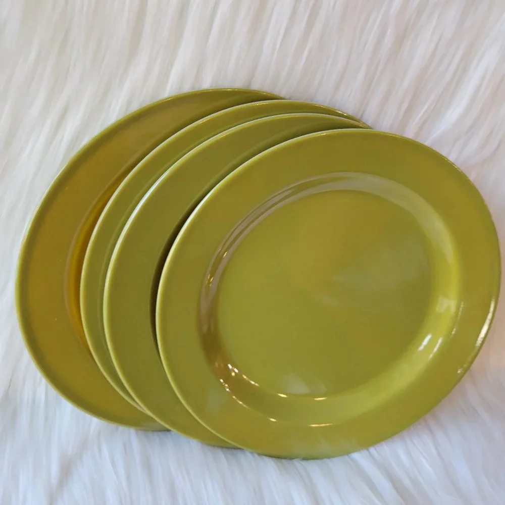 Set of 4 Melamine Plates